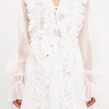 Long-Sleeve Ruffle Mini Dress