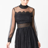 Long Sleeve Lace Mini Dress