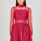 Long Sleeve Lace Mini Dress