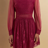 Long Sleeve Lace Mini Dress