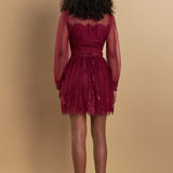 Long Sleeve Lace Mini Dress