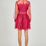 Long Sleeve Lace Mini Dress