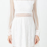 Long Sleeve Lace Mini Dress