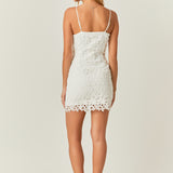 Crochet Lace Bodycon Mini
