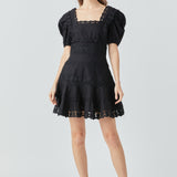 Lace Fit-and-Flare Mini Dress