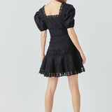 Lace Fit-and-Flare Mini Dress