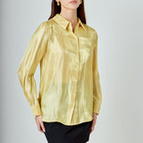Shiny Dress Shirt