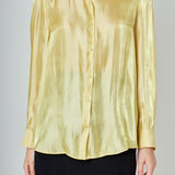 Shiny Dress Shirt