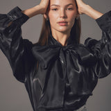 Organza Blouse Top