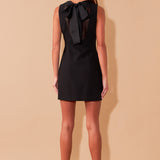 Organza Back Tie Dress