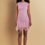 Tulle Ruffled Mini Dress