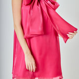 Organza Mini Dress