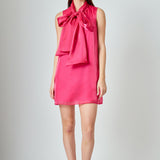 Organza Mini Dress