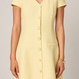 Tweed A Line Mini Dress