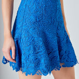 Lace Fit and Flare Mini Skirt