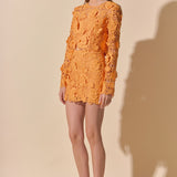 Floral Lace Mini Skirt