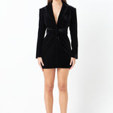 Long-Sleeved Velvet Mini Dress