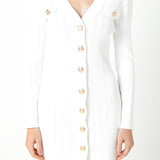 Shank Button V-Neckline Knit Mini Dress