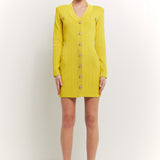 Shank Button V-Neckline Knit Mini Dress