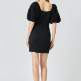 Puff Sleeve Mini Dress