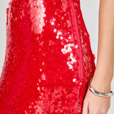 Sequins Midi Skirt