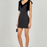 Velvet Detail Mini Dress