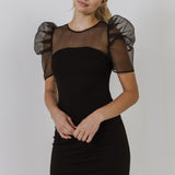 Organza with Knit Mini Dress