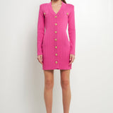 Shank Button V-Neckline Knit Mini Dress