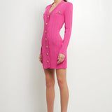 Shank Button V-Neckline Knit Mini Dress