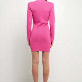 Shank Button V-Neckline Knit Mini Dress