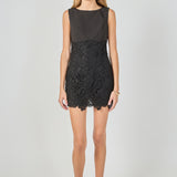 Lace Combo Mini Dress