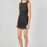 Lace Combo Mini Dress