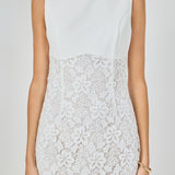 Lace Combo Mini Dress