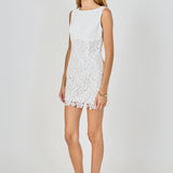 Lace Combo Mini Dress