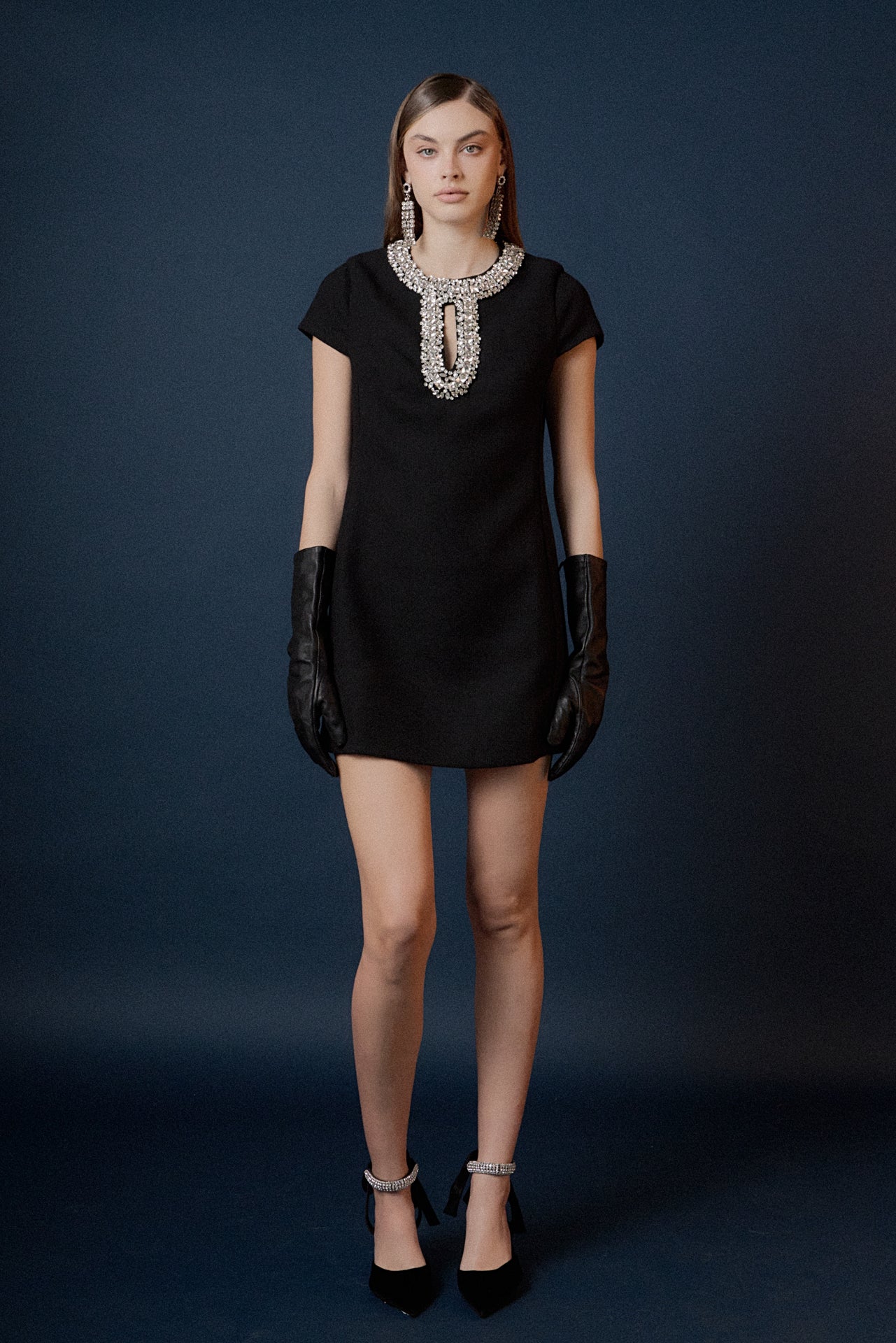 Jewel Trim Neck Mini Dress