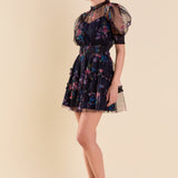 Ruffled Mesh Mini Dress