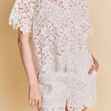 Lace Collared Top