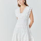 Plunging Neck Lace Trim Dress