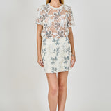 Embroidered Short Skirt