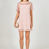 Sequins Embroidery Mesh Dress