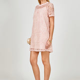 Sequins Embroidery Mesh Dress