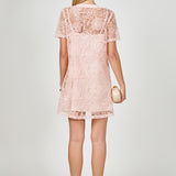Sequins Embroidery Mesh Dress