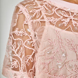 Sequins Embroidery Mesh Dress