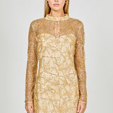 Sequins Beading Mesh Dress