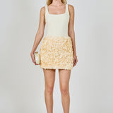 3D Rose Mini Skirt