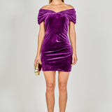 Velvet Mini Dress
