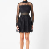 Long Sleeve Lace Mini Dress