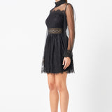 Long Sleeve Lace Mini Dress