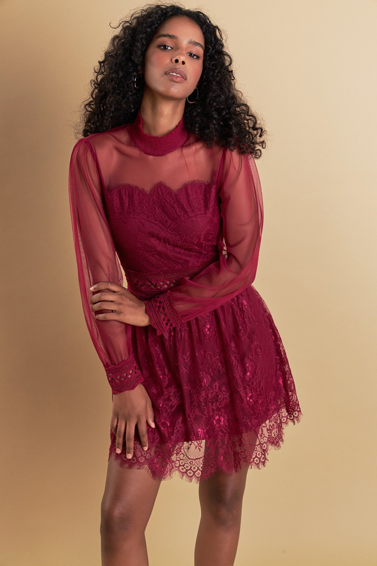 Long Sleeve Lace Mini Dress
