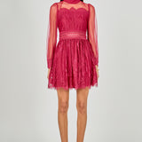 Long Sleeve Lace Mini Dress